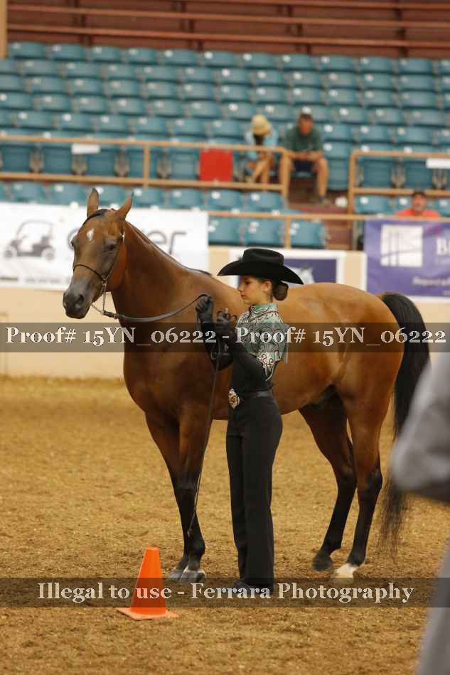 Proof 15YN_06222