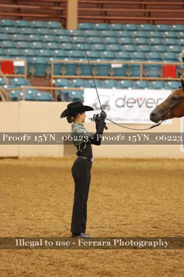 Proof 15YN_06223