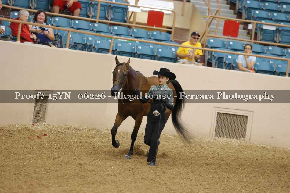 Proof 15YN_06226