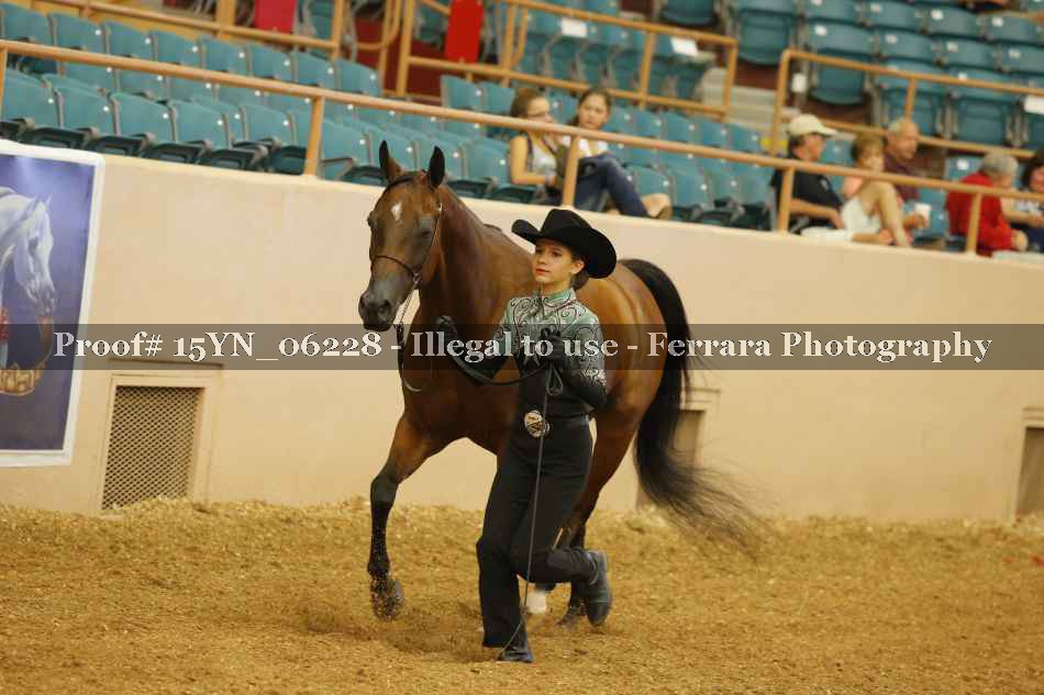Proof 15YN_06228