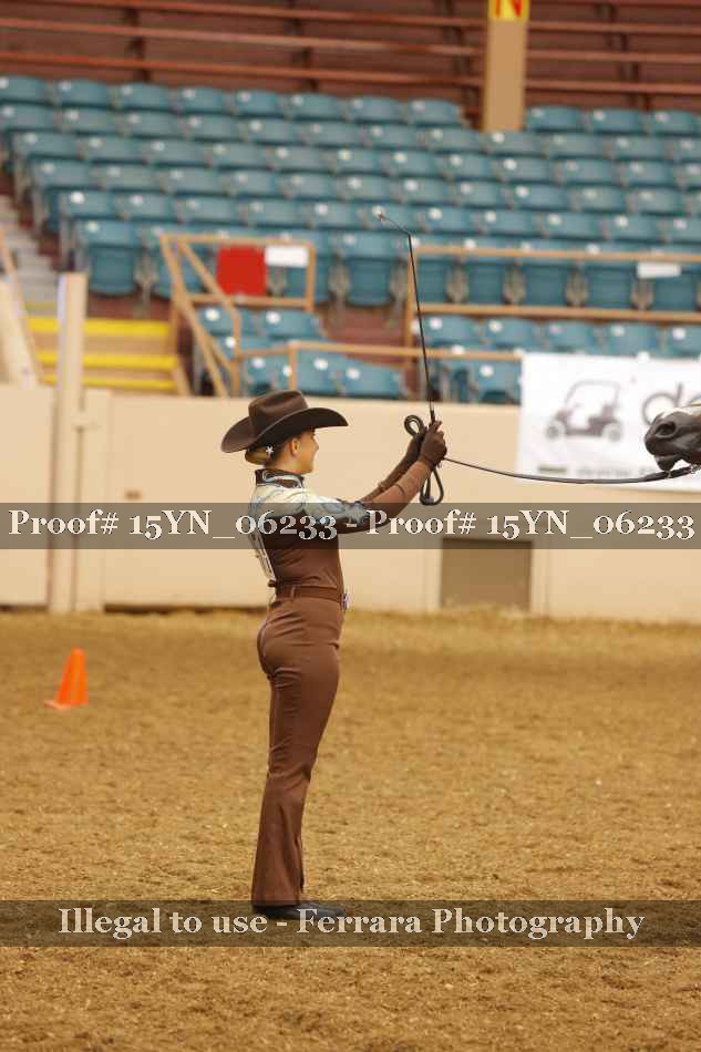 Proof 15YN_06233