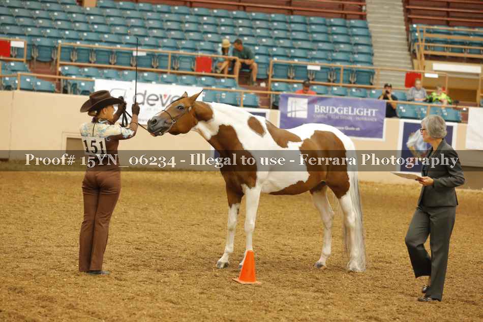 Proof 15YN_06234