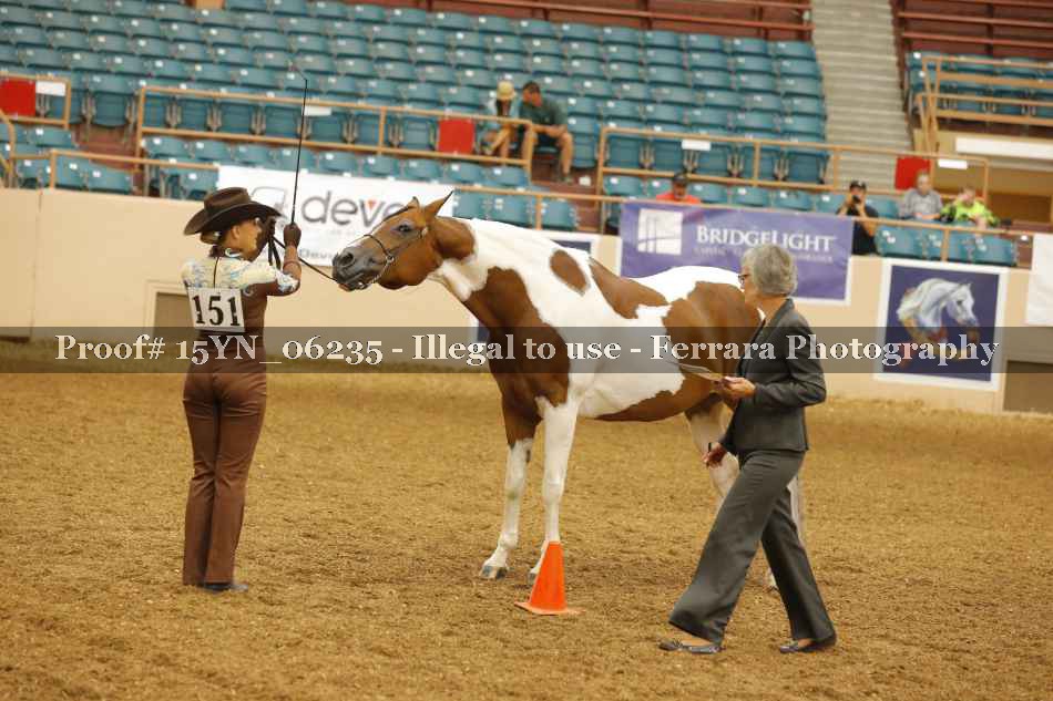 Proof 15YN_06235