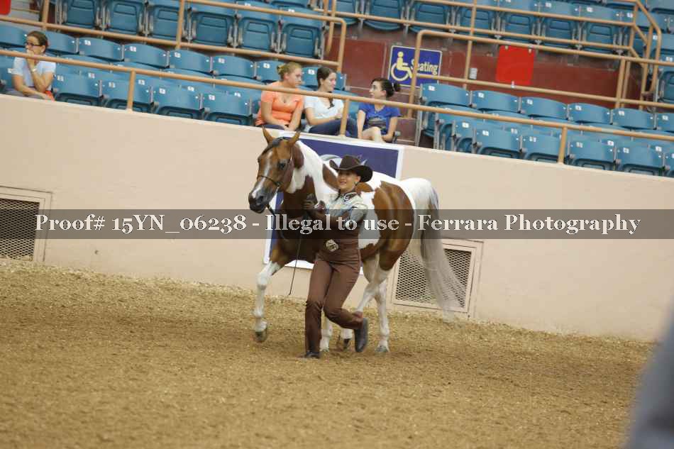 Proof 15YN_06238