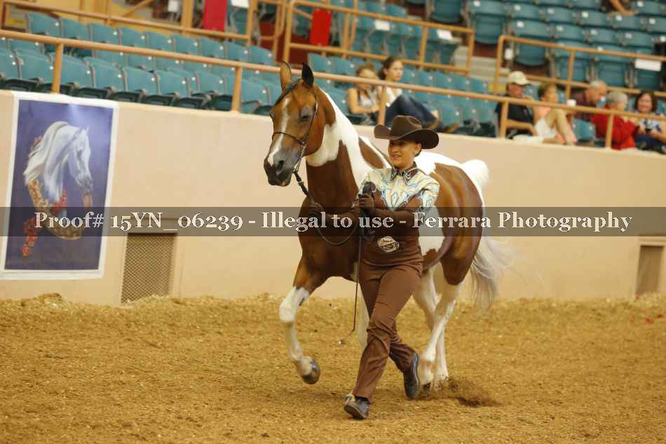 Proof 15YN_06239