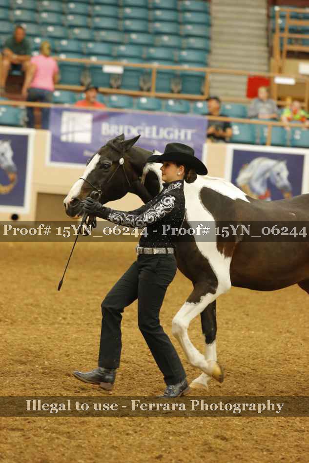 Proof 15YN_06244