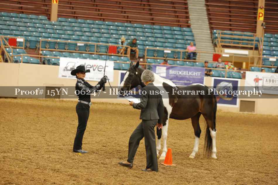 Proof 15YN_06247