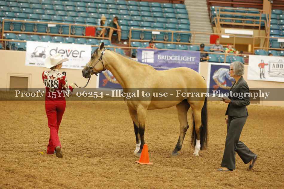 Proof 15YN_06254