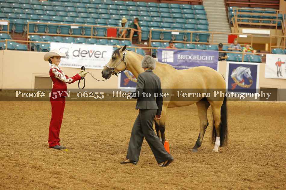 Proof 15YN_06255