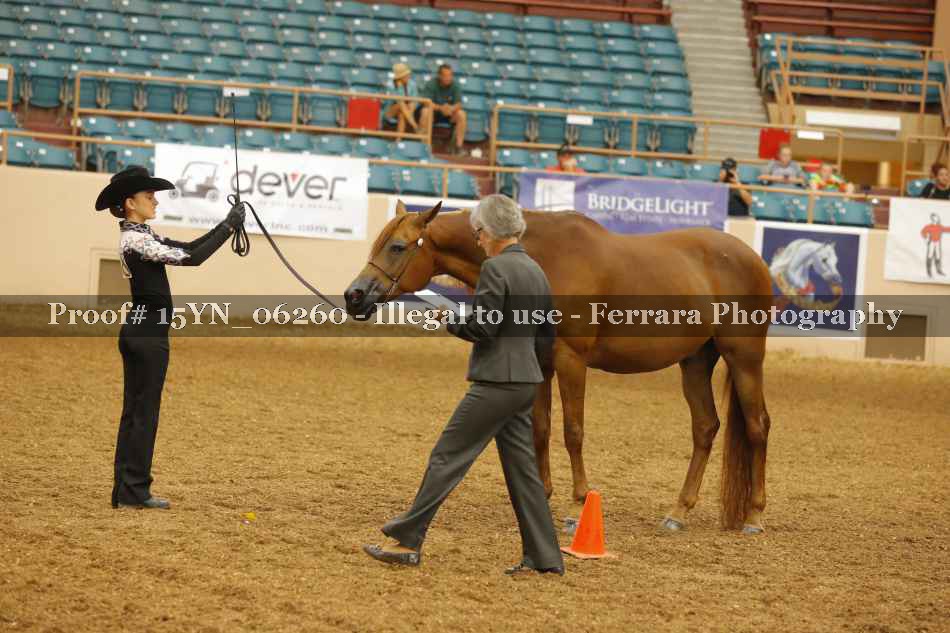Proof 15YN_06260