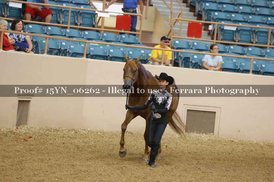 Proof 15YN_06262