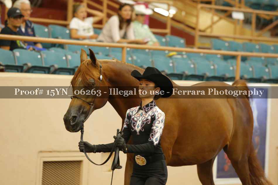 Proof 15YN_06263