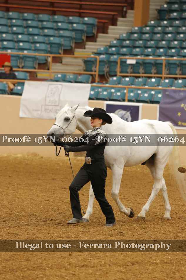 Proof 15YN_06264