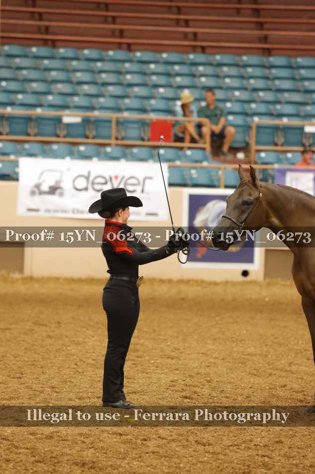 Proof 15YN_06273