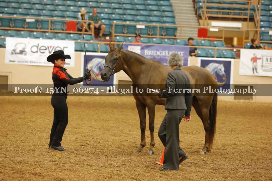 Proof 15YN_06274