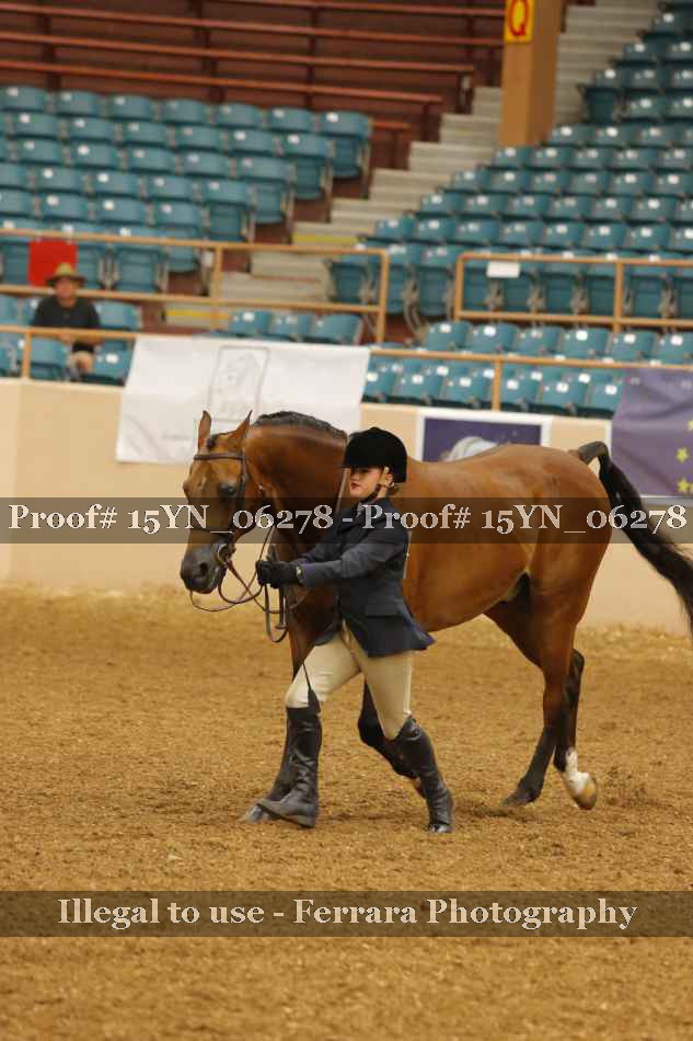 Proof 15YN_06278