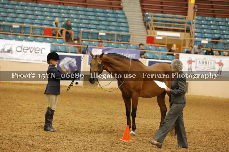 Proof 15YN_06280