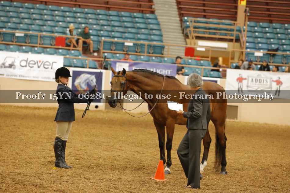 Proof 15YN_06281