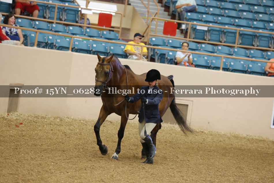 Proof 15YN_06282