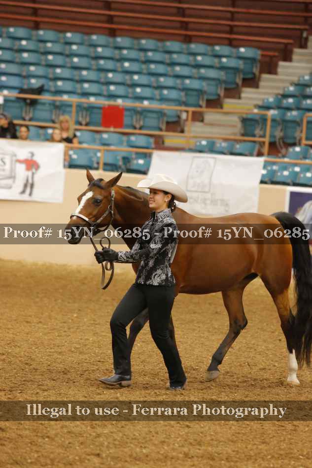 Proof 15YN_06285