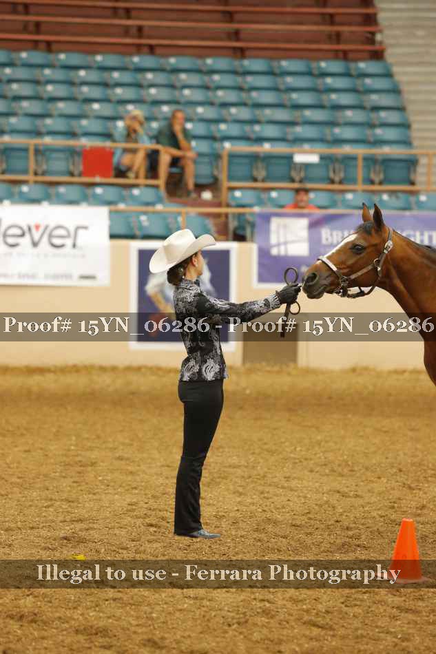 Proof 15YN_06286