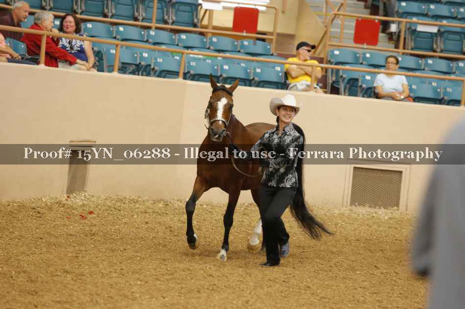 Proof 15YN_06288