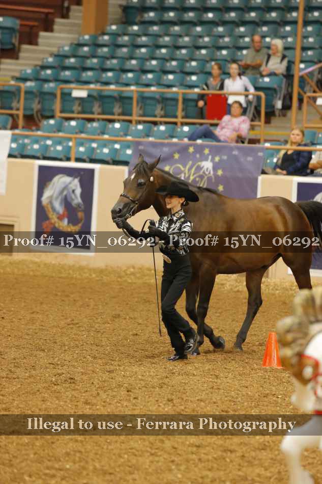 Proof 15YN_06292