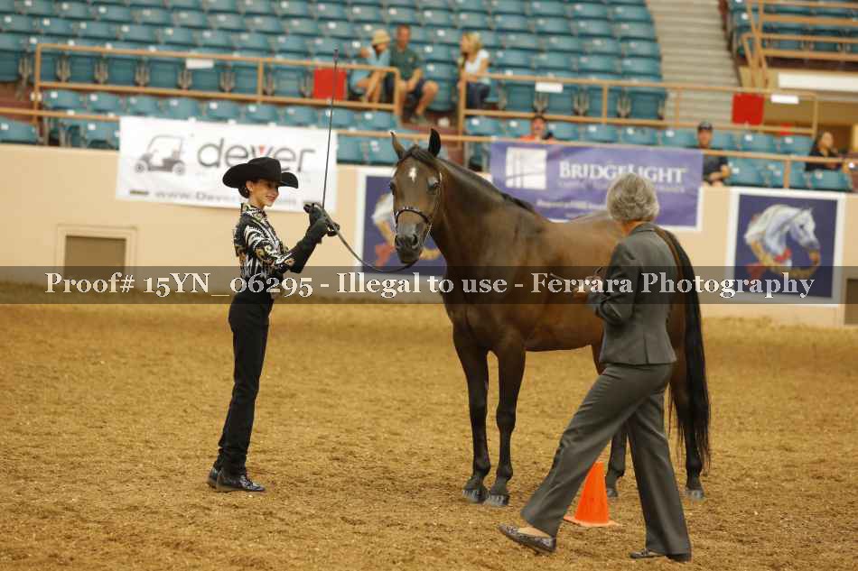 Proof 15YN_06295