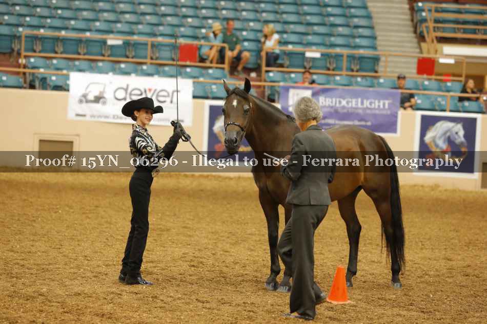Proof 15YN_06296