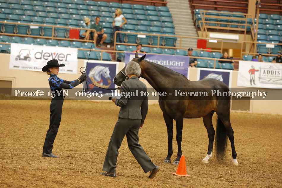 Proof 15YN_06305