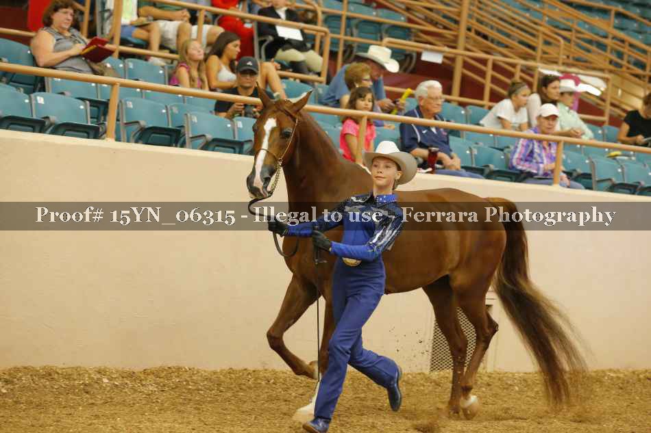 Proof 15YN_06315