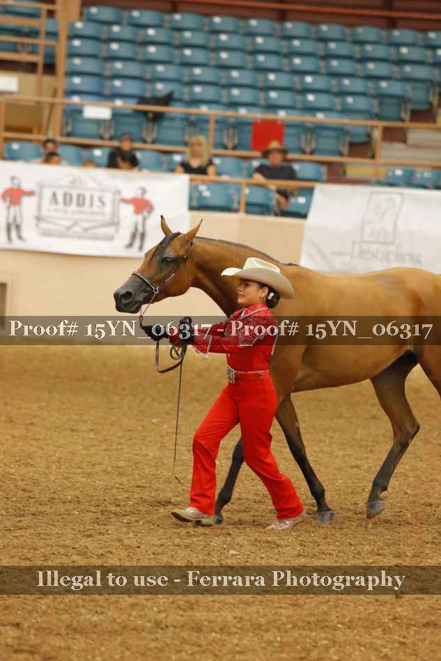 Proof 15YN_06317