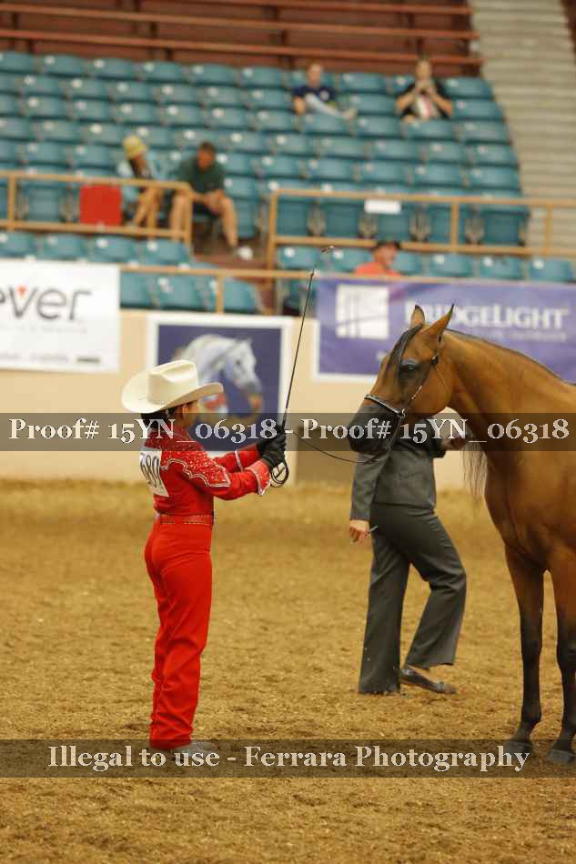 Proof 15YN_06318