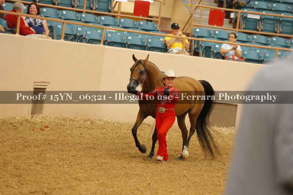 Proof 15YN_06321