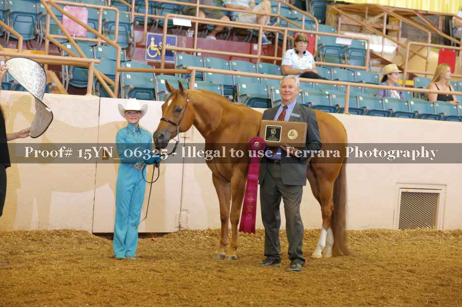 Proof 15YN_06325