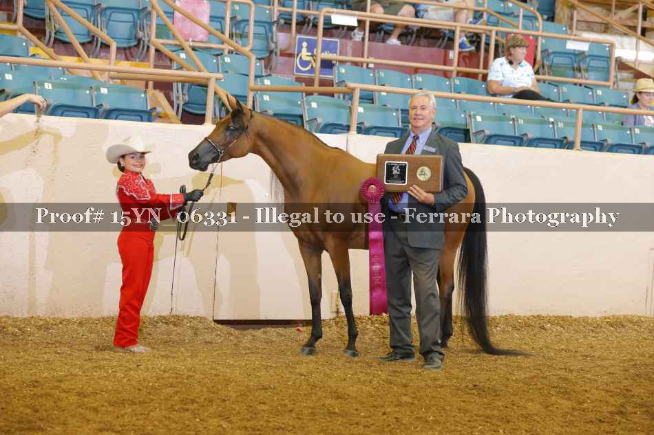 Proof 15YN_06331
