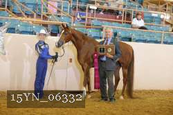 15YN_06332 proof
