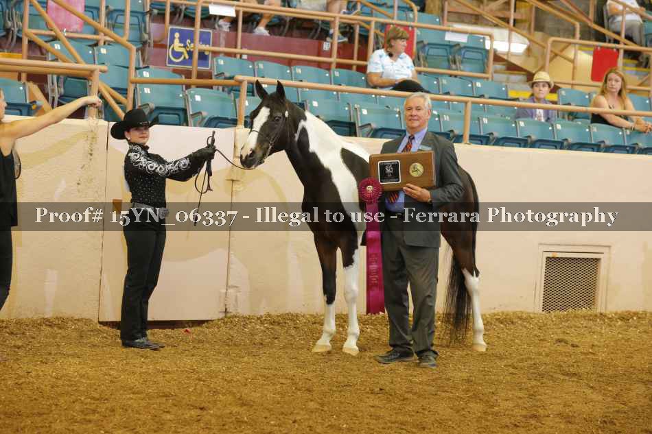 Proof 15YN_06337