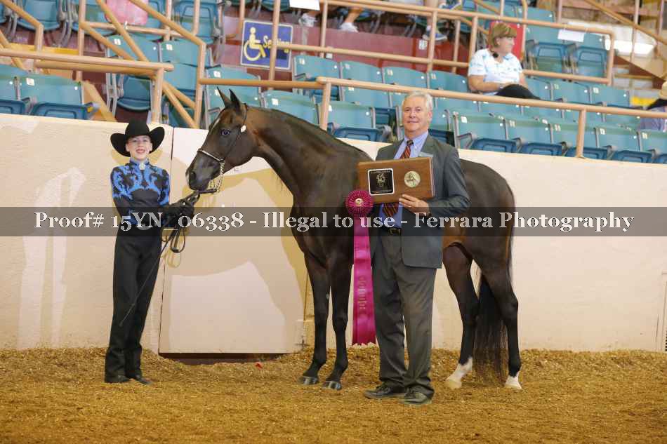 Proof 15YN_06338