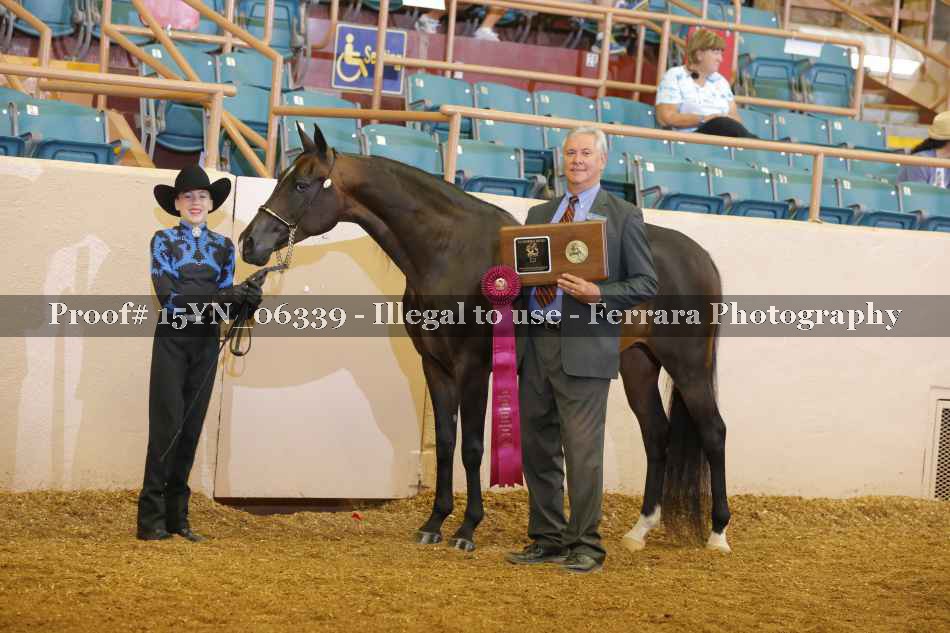 Proof 15YN_06339
