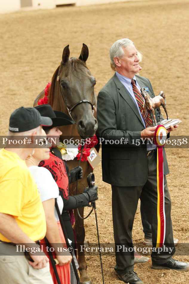 Proof 15YN_06358