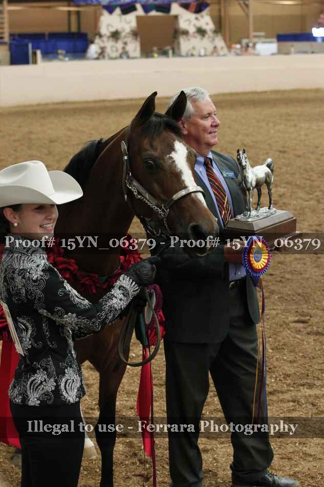 Proof 15YN_06379