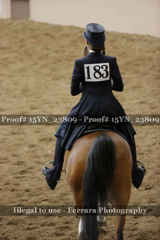 Proof 15YN_23809