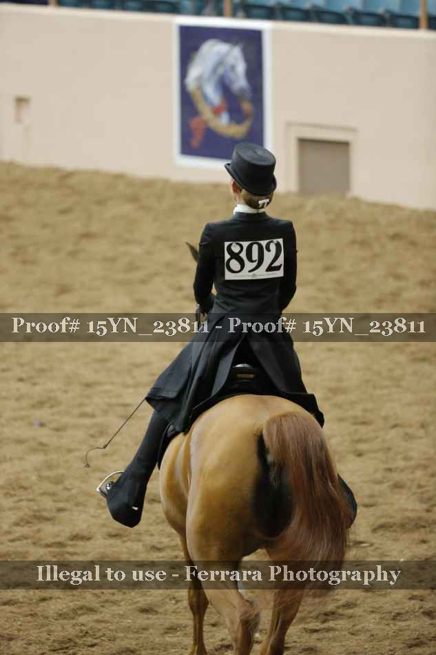 Proof 15YN_23811