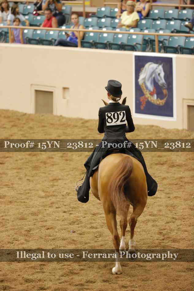 Proof 15YN_23812
