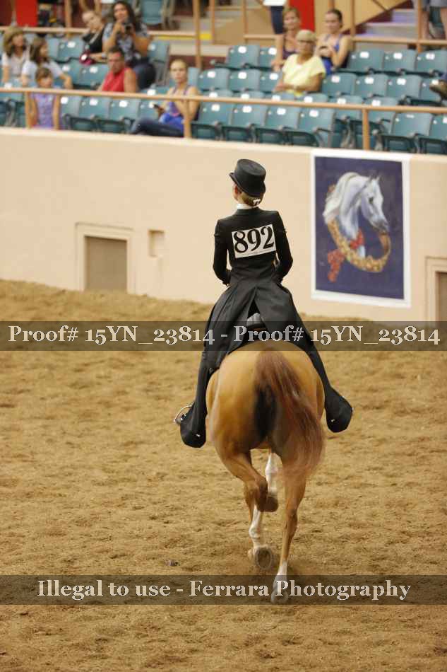 Proof 15YN_23814
