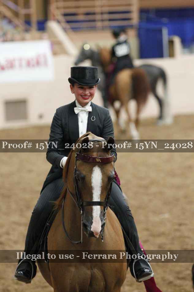 Proof 15YN_24028