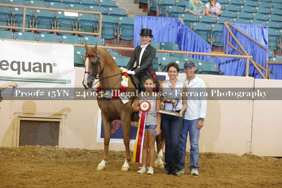 Proof 15YN_24065