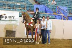 15YN_24066 proof