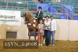 15YN_24068 proof